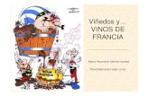VINOS DE FRANCIA -  · PDF filecocina francesa y algunos de ellos han logrado un reconocimiento mundial. Molina Huertas/López Lluch Francia produce los mejores vinos del Mundo