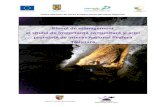 Planul de management - Pestera Tausoarepesteratausoare.ro/wp-content/uploads/2014/09/PM-Pestera-Tausoare... · Resurse pentru management și infrastructură ... faunistice și biocenotice