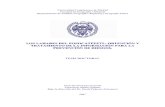 LOS LAHARES DEL POPOCATÉPETL: OBTENCIÓN Y · PDF fileAgradecimientos Tras concluir la investigación que tiene por título “los lahares del Popocatépetl: obtención y tratamiento