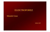 elektroforez [Salt Okunur] - yunus.hacettepe.edu.tryunus.hacettepe.edu.tr/~mergen/sunu/s_elektroforez.pdf · Arne Tiselius tarafından geliştirilmişolan elektroforezden, özellikle