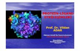 PROTEİN-LİGAND ETKİLEŞİMLERİ - · PDF filePROTEİN-LİGAND ETKİLEŞİMLERİ Prof. Dr. Vildan ADAR Bilgisayar-destekli İlaçTasarım Laboratuvar ... 1-Proteinler A-Reseptörler-vücudumuzun