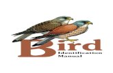 Bird Identification Manual - قانون الصيد في ...hunting.moe.gov.lb/.../2015/07/Bird-Identification-Manual-FINAL.pdf · Identification Manual: ... Further thanks goes to