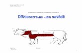 Androgoški zavod 2000 Maribor - · PDF fileDrugorazredni deli goveda SESTAVNI DELI JEDI: Ragu Iz govejega ­ (Vratu) Priprava: Meso razrežemo na košče.Na vroči maščobi jih s