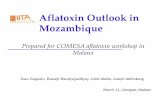 Mozambique Aflatoxin Outlook.ppt - Meridian Institute/media/Files/Projects/Aflatoxin microsite/Comesa... · Aflatoxin Outlook in ... Dr. Peter Cotty – USDA‐FAS at University of