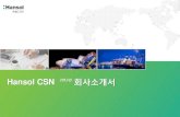 Hansol CSN 2013년 회사소개서 -  · PDF file스타리온 , 아이즈 비전, 한국 암웨이 ... 삼성전기 부산·대전, 호텔신라면세점, 이브자리