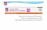 Marmara Üniversitesi MSÜ deneyimi Prof. Dr. Ayşegül ... · PDF fileMarmara Üniversitesi MSÜ deneyimi Prof. Dr. Ayşegül Karahasan Yağcı Tıbbi Mikrobiyoloji Anabilim Dalı,