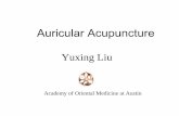 Auricular Acupuncture - Cat's TCM Notes Needling Techniques an… · Auricular Acupuncture Yuxing Liu Academy of Oriental Medicine at Austin. General Introduction • Concept Stimulating