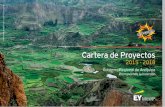 Cartera de Proyectos - ey.comFile/EY-guia-cartera-proyectos-2015-2018-GRA.pdf · Cartera de Proyectos 2015 - 2018 Gobierno Regional de Arequipa 5 ... 5 Índice de Competitividad Regional