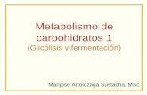 Metabolismo de carbohidratos 1 · PDF fileAlgunas vías metabólicas Anabólicas Síntesis Síntesis de • ác. grasos – Triglicéridos – Glicerofosfolípidos • Colesterol •