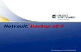 Netvault: Backup v8 - ymsys.co.kr · PDF file전,대구,울산,충북), sh ... 본 기능을 사용하면 처음 풀 백업을 핚번 하고 다시 풀백업을 하지 않고서도