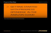 getting started with progress® openedge® in the amazon · PDF fileGETTING STARTED WITH PROGRESS ® ® OPENEDGE ® IN THE AMAZON CLOUD ... starting with “Getting Started with OpenEdge