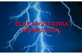 ELEKTROSTATIKA BIOMOLEKUL - web.vscht.cz · PDF fileElektrostatika biomolekul Použití: - charakterizace schopnosti biomolekuly interagovat elektrostatickými interakcemi - charakterizace