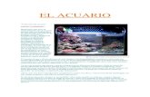 MANUAL ACUARIO MARINO -  · PDF fileEL ACUARIO Elección del acuario: Infinitas posibilidades: Hasta hace muy poco el mantenimiento de un acuario marino sólo era posible para