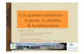 Les grandes épidémies : la peste, le choléra & la tuberculosemicrobiologie.univ-tours.fr/2008lanottepgdes_epidemies.pdf · Une des maladies les plus mortifères de l’histoire