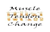Muscle Tendon Change - Seven Stars Martial Arts saw that the monks of Shaolin - Shàolín 少林 were too physically weak to handle the rigors of lengthy ... The Muscle Tendon Changing