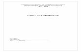 CAIET DE LABORATOR -  · PDF filePag 2 din 21 UNIVERSITATEA TEHNICA DE CONSTRUCTII BUCURESTI DEPARTAMENTUL DE GEOTEHNICA SI FUNDATII Cuprins 1