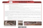 Le luthier de Venise - ekladata.comekladata.com/vWjAUBUxF7ztEUJolu6EIogyW_A/e-luthier-de-enise.pdf · Le luthier de Venise CoursCours MoyenMoyen L Littérature Dans cette séquence,