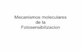Mecanismos moleculares de la Fotosensibilizaciónmural.uv.es/rata3/Trabajos/Mecanismos moleculares de la... · El mecanismo de reacción es el conjunto de las fases o estados que