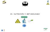 03. NUTRICIÓN Y METABOLISMO - depa.fquim.unam.mxdepa.fquim.unam.mx/.../T-Presentaciones/Tema03/T-03-Nutricion-181.… · ENZIMAS ACTIVADAS: enzimas que actúan sobre otras. (Control