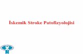 İskemik Stroke Patofizyolojisi - · PDF fileSerebral İskemi iskeminin tipi ve şiddetiiddeti 9Global İskemi 9Kan akımının tamamen kesilmesi: 6-8 dakikada kalıcı harabiyet 9Kardiyak
