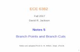 Fall 2017 David R. Jackson - courses.egr.uh.educourses.egr.uh.edu/ECE/ECE6382/Class Notes/Notes 5... · Branch Points and Branch Cuts . ECE 6382 . 1 . David R. Jackson . Fall 2017