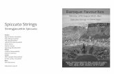 Spiccato Strings - · PDF fileBaroque Favourites Eftirlætis barokk Handel - Arrival of the Queen of Sheba Martin Frewer, Hlíf Sigurjónsdóttir Vivaldi - Concerto 11 in d minor RV