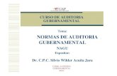 Tema: NORMAS DE AUDITORIA · PDF fileNAGU. 2. 20 Planeamiento de la Auditoría ... Auditoria Gubernamental relacionado con la auditoria de gestión y exámenes especiales. Las Normas