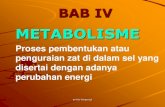 BAB IV METABOLISMEfile.upi.edu/.../BIOLOGI_UMUM/Bioum._POWERPOINT/BAB_IV_META… · Keterkaitan Metabolisme Karbohidrat,Lemak,Protein. Title: BAB IV METABOLISME Author: Papi Created