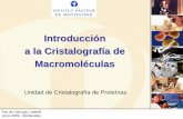 Introducción a la Cristalografía de Macromoléculasbiolmol.fcien.edu.uy/materiales/Buschiazzo_II.pdf · Ventajas de la radiación sincrotrón en Cristalografía de Proteínas Cristales