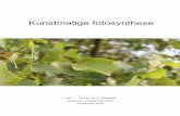 Kunstmatige fotosynthese -  · PDF filethylakoïden. Binnen een thylakoïde bevindt zich de thylakoïdruimte. Een ‘stapel’ thylakoïden wordt een granum genoemd