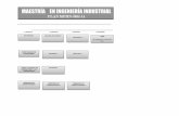 MAESTRÍA EN INGENIERÍA INDUSTRIALmaestriaindustrial.itcelaya.edu.mx/wp-content/uploads/2017/05/... · TOPICOS SELECTOS DE INGENIERIA INDUSTRIAL ... manufactura en el manejo de la