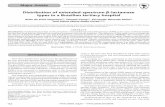 Distribution of extended-spectrum β-lactamase types in a ... · PDF fileKeite da Silva Nogueira. Laboratório de Bacteriologia/HC/UFPR. Rua Padre Camargo 280, ... expressing strains