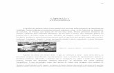 CAPÍTULO 1 A FOTOGRAFIA - FOTO&JORNALISMO · PDF filepara a fotografia estava criado: o do diafragma ... LANGFORD, M. Fotografia Básica. Lisboa: Dinalivro, 5a edição, 1996. Glossário