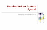Pembentukan Sistem Syaraf - Departemen Anatomi …aff.fkh.ipb.ac.id/wp-content/uploads/2011/08/08.-Perkembangan... · Laboratorium Embriologi FKH IPB. Indikator pencapaian ...