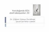 Yenidoğanda GİS obstrüksüyonları II · PDF fileGİS: Beslenme entoleransı, kusma, diyare, kanlı dışkılama, abdominal distansiyon