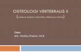 OSTEOLOGI VERTEBRALIS II - · PDF fileColumna vertebralis Vertebrae cervicalis Vertebrae thorachalis Vertebrae lumbalis Vertebrae sacralis Vertebrae coccygealis thorax costae sternum