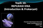 Paramita Cahyaningrum Kuswandi (email : …staffnew.uny.ac.id/.../pendidikan/3.+REPLIKASI+DNA.pdf · Why study DNA replication ? Materi genetis : perlu diketahui untuk melihat pewarisan