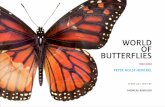 WORLD OF BUTTERFLIES - Peter Holst Henckelholsthenckel.dk/pdf/Butterflies_web_A4_.pdf · The World of Butterflies series comprises an encyclopaedic ... Vietnam, October 1972. PETER