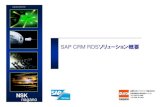 SAP CRM RDSソリューション概要 - nnsk.co.jp · PDF fileSAP CRM RDS (Rapid Deployment Solution)は、SAP ... zWebUI 項目追加機能