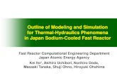 Outline of Modeling and Simulation for Thermal-Hydraulics ... · PDF fileOutline of Modeling and Simulation for Thermal-Hydraulics Phenomena ... Secondary Cooling System Primary ...