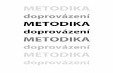 METODIKA - amalthea.cz ke stazeni/odborné metodiky... · Metodika doprovázení 1 Metodika doprovázení Podpora, vzdělávání a kontrola při výkonu náhradní rodinné péče