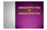 DERMATOPHYTIES ET DERMATOPHYTES - univ.ency …univ.ency-education.com/uploads/1/3/1/0/13102001/parasito3an-derma... · 7/ Pour les onychomycoses Onycho Diag = PCR-ELISA Diagnostic