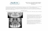DENTAL RADIOGRAPHIC TECHNIQUES FOR THE HORSE · PDF fileEquine Dental Specialty DENTAL RADIOGRAPHIC TECHNIQUES FOR THE HORSE This document is provided as an informational