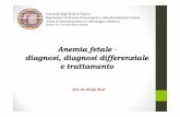 Direttore Prof. Giovanni Battista Nardelli - sdb.unipd.it fetale 2013.pdf · Anemia fetale-diagnosi, ... Makar RS. Detection of fetomaternal hemorrhage. American Journal of Hematology