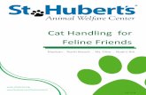 at Handling for Feline Friends - maddiesfund.org Handling... · at Handling for Feline Friends   Madison . North ranch . ... EST FUR-FRIENDS FUR-EVER! Well hello volunteers!