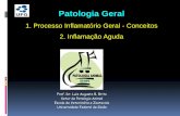 Patologia Geral - evz.ufg.br ão_Aguda_2014.pdf · PDF filePatologia Geral 1. Processo Inflamatório Geral - Conceitos 2. Inflamação Aguda Prof. Dr. Luiz Augusto B. Brito Setor