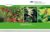 DGUV Information 202-023 „Giftpflanzen - DGUV …publikationen.dguv.de/dguv/pdf/10002/202-023.pdf · Mit Giftpflanzen leben. Vergiftungsfälle durch Pflanzen gehören zu jenen Gesundheitsschädigungen,
