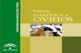 A PE A UR Producción LT ECOLOGICA de · PDF fileexcrementos de los animales se utilizan para la mejora ... de la fertilidad de los suelos. Además los animales alopáticos (convencionales)