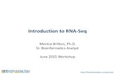Introduction to RNA-Seq - UC Davis Bioinformatics Corebioinformatics.ucdavis.edu/.../_downloads/Th_MB_RNASeq_Intro.pdf · Introduction to RNA-Seq Monica Britton, Ph.D. Sr. Bioinformatics