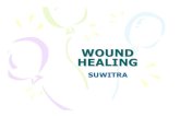 WOUND HEALING Ե .ppt) - Siriraj · PDF fileHISTORY OF WOUND HEALING • 2000B.C. by Sumerians – Spiritual method: Incantation. – Physical method: Poultice-like materials. •